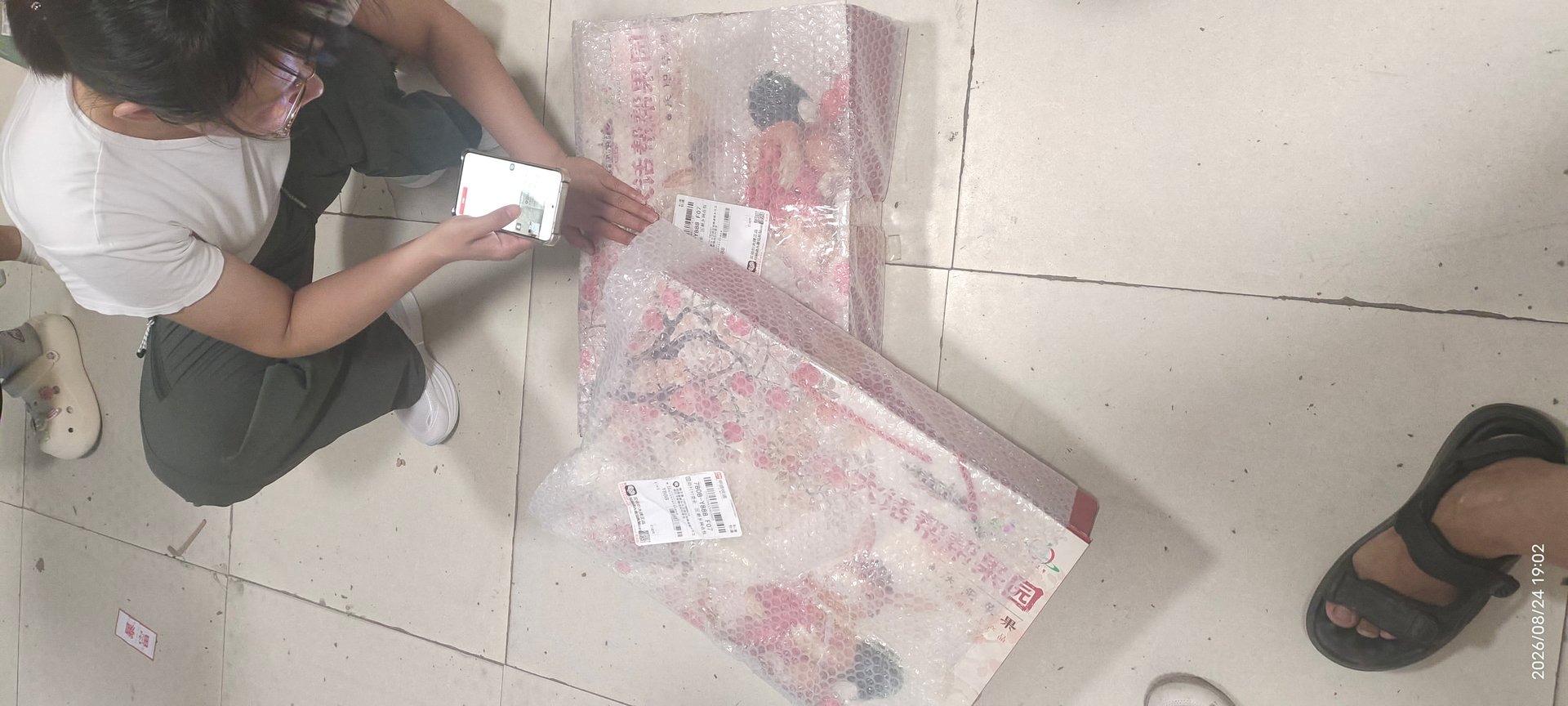 庆阳小苹果1.jpg