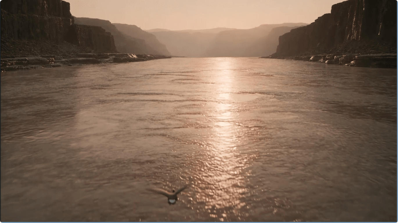 7d8657e94686cd5495d22d1b34482a51.png