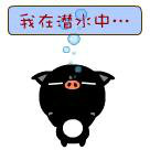 sa8326227 的头像